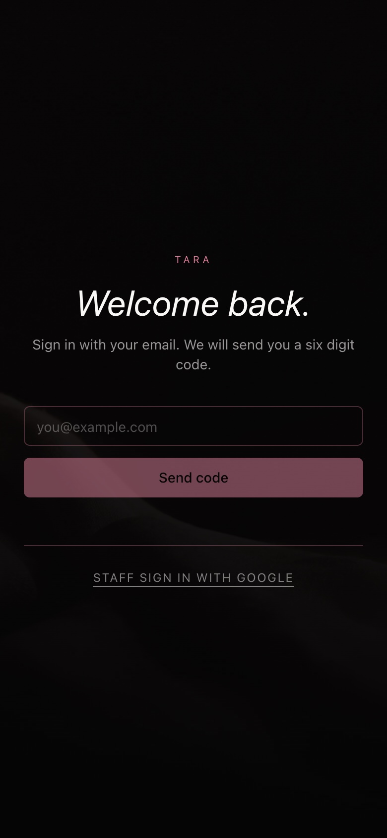 The email sign in screen